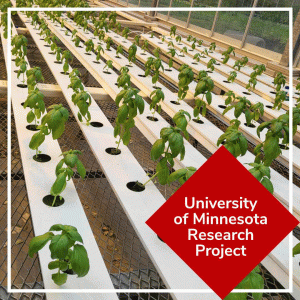 Hydroponic Research